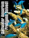 Saltwater Aquarium Problems Solved