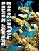Saltwater Aquarium Problems Solved