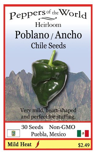 Poblano Pepper - 10 Seeds - Authentic Chile Rellenos - Ancho When Dry - Easy to Grow