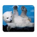 Baby Polar Bear Large Mousepad mouse pad Great Gift Idea