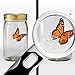 Deluxe Magnifying Glass with Light - exceeding 10x (16x), 5x & 2.5x with FREE Pocket Magnifying Glass and 3 x Fresnel Lens for Wallet