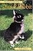 DWARF RABBIT (Pet Owner's Guide)