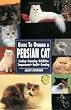 Guide to Owning a Persian Cat