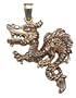 14k Yellow Gold Diamond-cut Dragon Charm