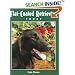 Flat-coated Retrievers Today (Book of the Breed S)