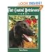 Flat-coated Retrievers Today (Book of the Breed S)