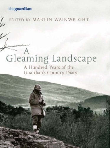 Wainwright