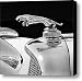 1937 Jaguar Prototype Hood Ornament black and white Canvas Print / Canvas Art - Artist Jill Reger 1937 Jaguar Prototype Hood Ornament black and white Canvas Print / Canvas Art - Artist Jill Reger