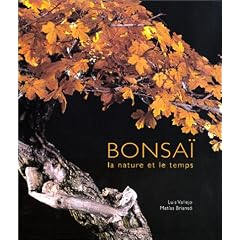 Bonsa� : La Nature et la Sculpture