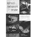 Reptiles and Amphibians of the Amazon: An Ecotourist's Guide