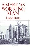 Americas Working Man: Work, Home, and Politics Among Blue Collar Property Owners