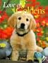 Love of Goldens