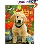 Love of Goldens
