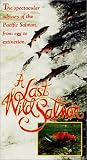A Last Wild Salmon [VHS]
