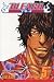 Bleach, Volume 5