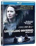 Un Gelido Inverno