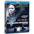 Un Gelido Inverno