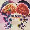 Image of album by Posies