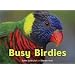 Busy Birdies (A Busy Book)