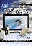 Antarctica Dreaming: Wildlife On Ice SD [2007]