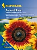 Eigenschaften Kiepenkerl - Blumen-Saatgut  / Helianthus annuus Sonnenblume Pro Cut Bicolor