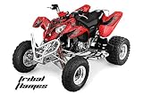 AMR Racing 2002-2011 Polaris Predator 500 ATV Quad, Graphic Kit - Tribal Flam...