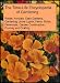 The Time-Life Encyclopedia of Gardening 10 Book Collection: Roses, Annuals, Easy Gardens, Gardening Under Lights, Ferns, Bulbs, Perennials, Garden Construction, Pruning and Grafting, Vegetables and Fruits [10 Hardcovers]
