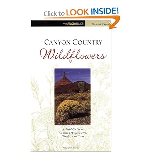 Canyon Country Wildflowers
