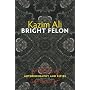 Bright Felon: Autobiography and Cities (Wesleyan Poetry)
