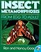 Books : Insect Metamorphosis (Aladdin Picture Books)