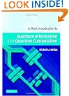 A Short Introduction to Quantum Information and Quantum Computation
