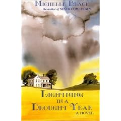 Lightning in a Drought Year: A Novel of the Heartland