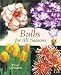 Book Bulbs for All Seasons