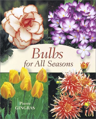 bulbs for all seasons