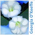 Georgia O'Keeffe; Leben und Werk: Retrospektive; Katalog zur Ausstellung in M&uuml;nchen, Hypo-Kunsthalle, 03.02.2012-13.05.2012