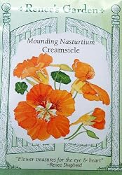 Nasturtium Mounding Creamsicle Seeds