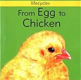 From egg to chicken