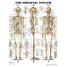 The Skeletal System