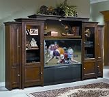Columbia 5 piece Entertainment Center Set - Encore Home Entertainment