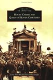 Mount Carmel and Queen of Heaven Cemeteries  (IL) (Images of America)
