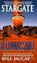 Stargate 04: Reconnaissance