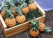Melissa's Baby Pineapples Crate
