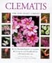 Clematis (New Plant Library)