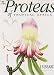 The Proteas of Tropical Africa