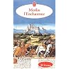 Merlin l'Enchanteur