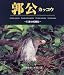 お気に入りの野鳥写真集