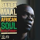 African Soul Revolutionar