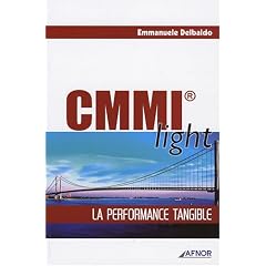 CMMI light : La performance tangible