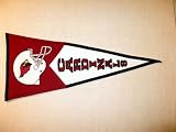 Arizona Cardinals NFL Classic Football Pennant