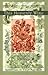 This Heavenly Wine: Renditions from the Divan-e Jami